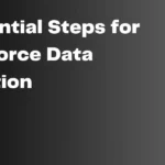 Steps for Salesforce Data Migration